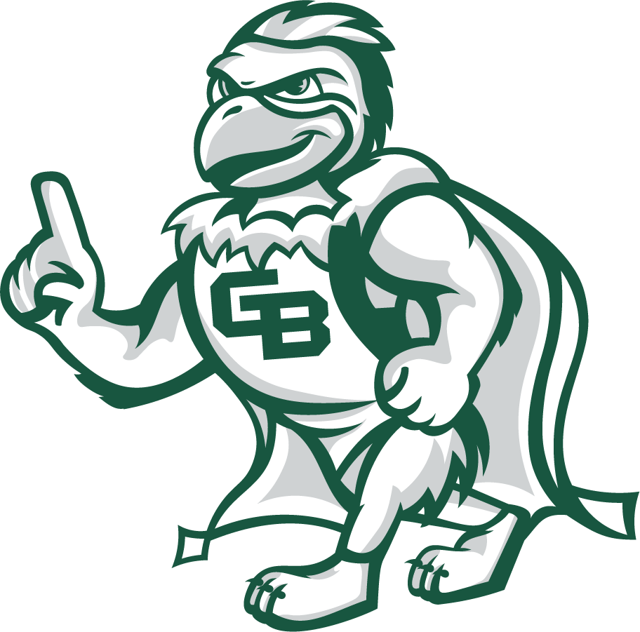 Wisconsin-Green Bay Phoenix 2020-Pres Mascot Logo v3 DIY iron on transfer (heat transfer)